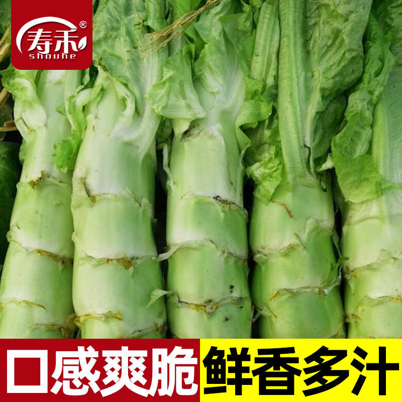 种都三号莴笋种子种籽莴苣菜种冬季耐寒耐热青笋蔬菜子子窝笋菜籽,鲜花速递/花卉仿真/绿植园艺,家庭园艺种子,淘宝优惠券,粉丝福利购,淘宝优惠卷