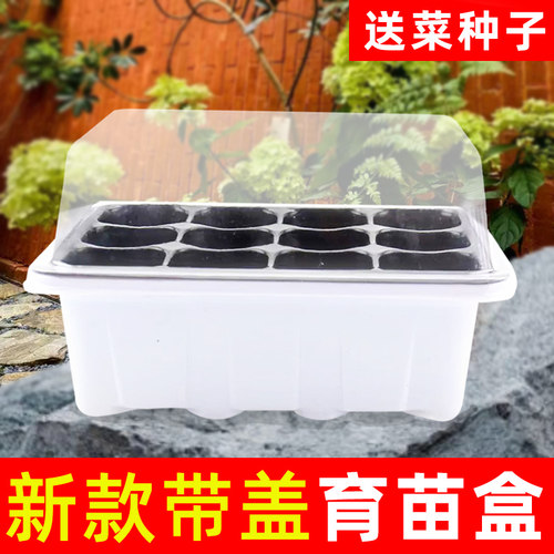 蔬菜育苗盒带盖植物扦插神器