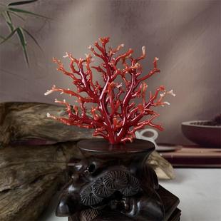 天然阿卡赤血红珊瑚树摆件51.7克有机宝石阿卡沙丁牛血红科西嘉速