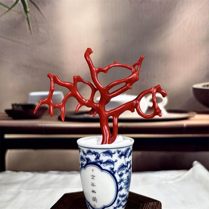 天然意大利科西卡珊瑚树摆件26.3克宝石阿卡沙丁黑牛血红科西嘉