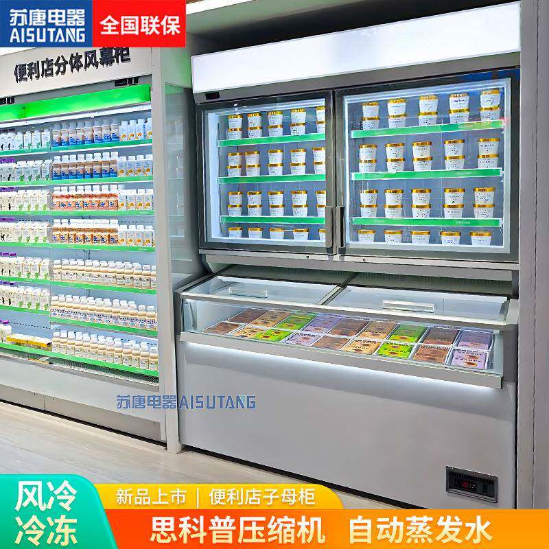 风冷上下全冷冻-22℃低温冷冻展示柜便利店冰箱双控冰淇淋