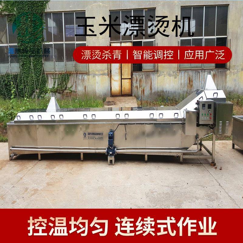 全自动连续式玉米蒸煮漂烫机蔬菜预煮杀菌设备玉米粒漂烫机