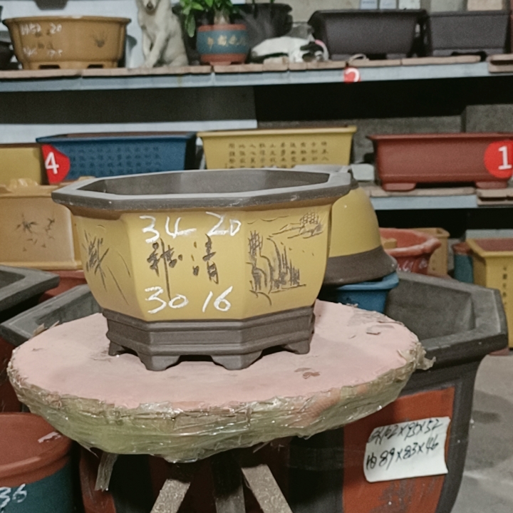 花盆
