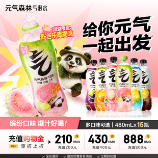 元 限定款 气泡水0糖0脂0卡480mL 15瓶汽水 气森林气泡水x王者荣耀