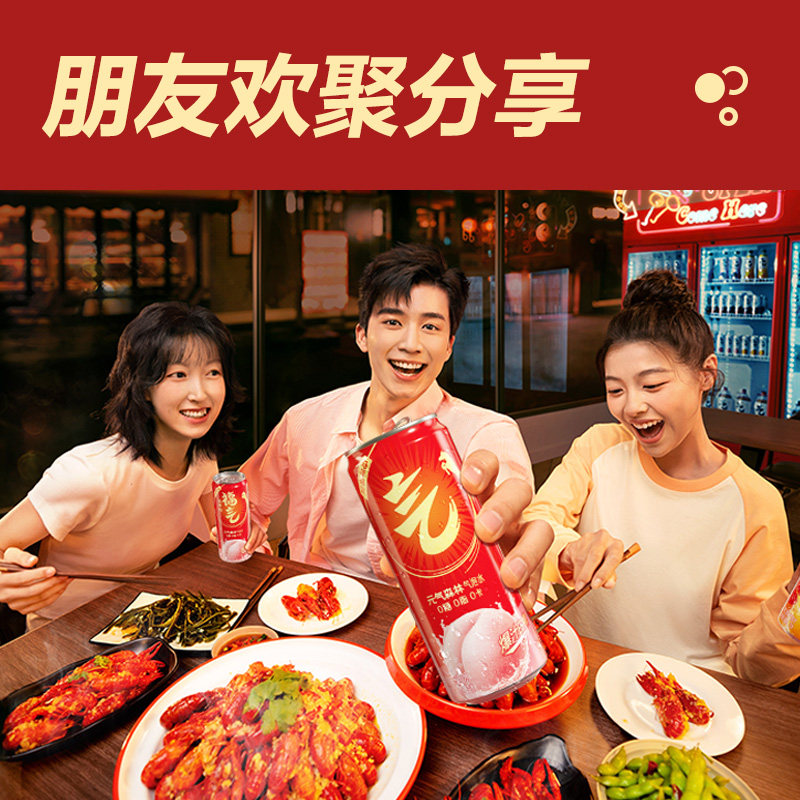 【年货节】元气森林气泡水26年好运限定礼盒330ml*12罐*2箱,咖啡/麦片/冲饮,气泡水,淘宝优惠券,粉丝福利购,淘宝优惠卷