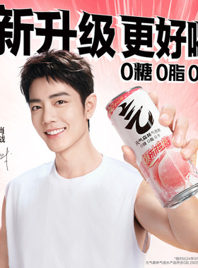 元气森林多口味0糖0脂0卡气泡水330mL*24罐b