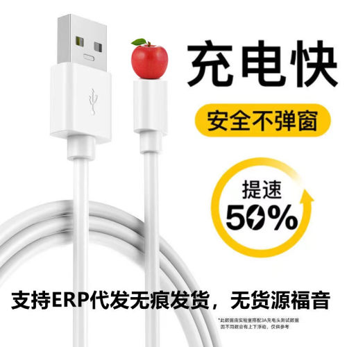 原芯源iPhone数据线1米USB-A