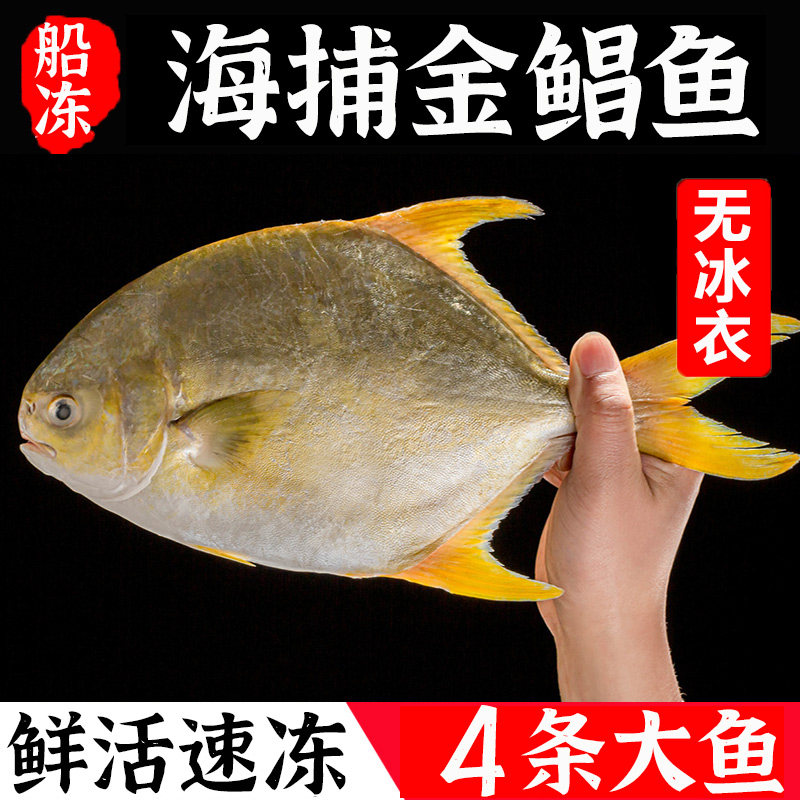 特大金鲳鱼新鲜冷冻鲜活金昌鱼冰鲜海鱼海鲜水产深海晶鱼鲳鳊平鱼,水产肉类/新鲜蔬果/熟食,鲳鱼,淘宝优惠券,粉丝福利购,淘宝优惠卷