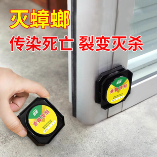 郁康蟑螂药大小通杀饭店厨房室内灭蟑螂家用防宠物误食灭小蠊饵剂