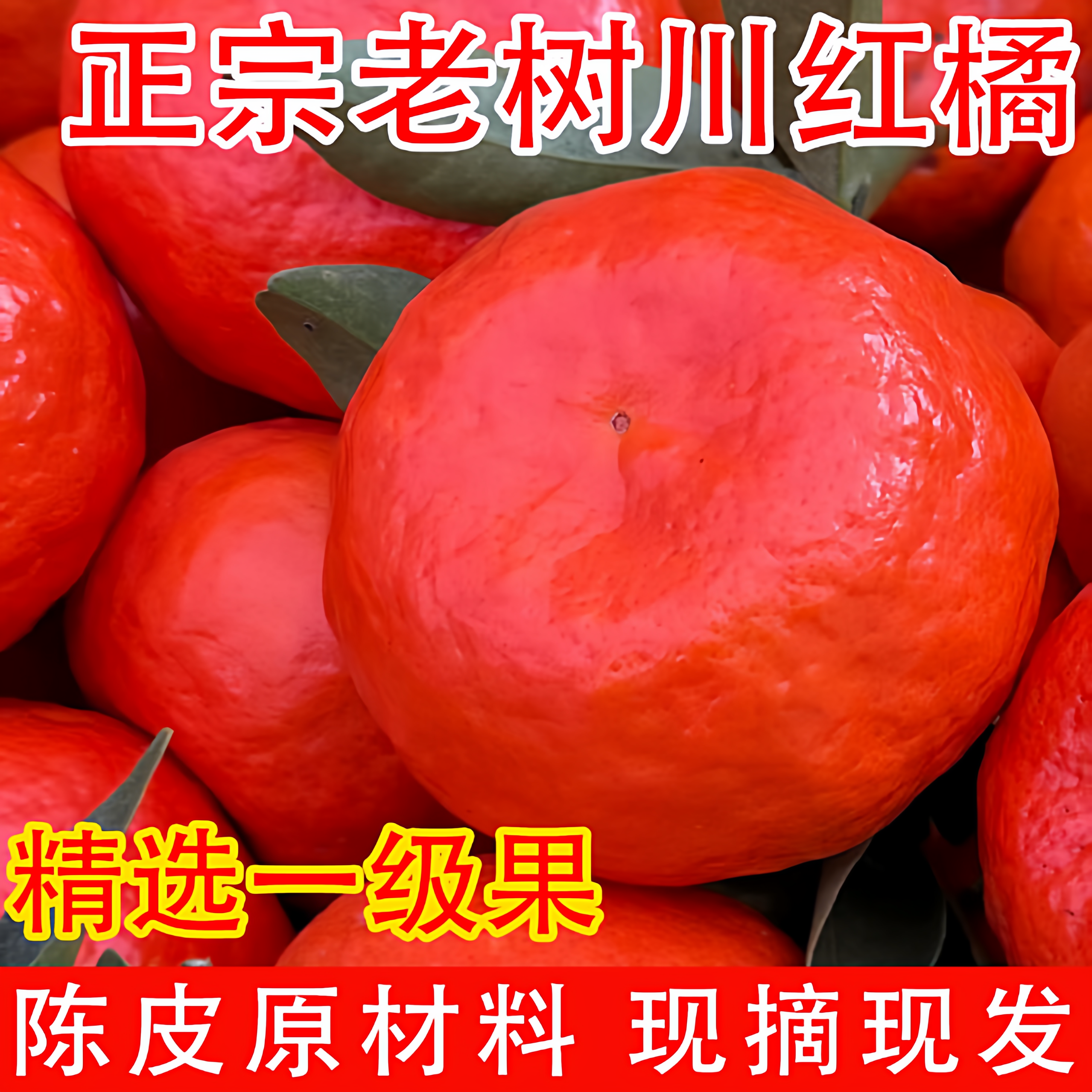 川红桔新鲜水果万州大红袍橘陈皮