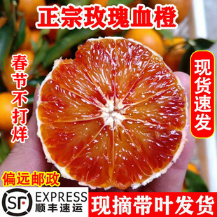 重庆血橙万州玫瑰香橙子当季新鲜孕妇水果整箱10四川塔罗科红心脐