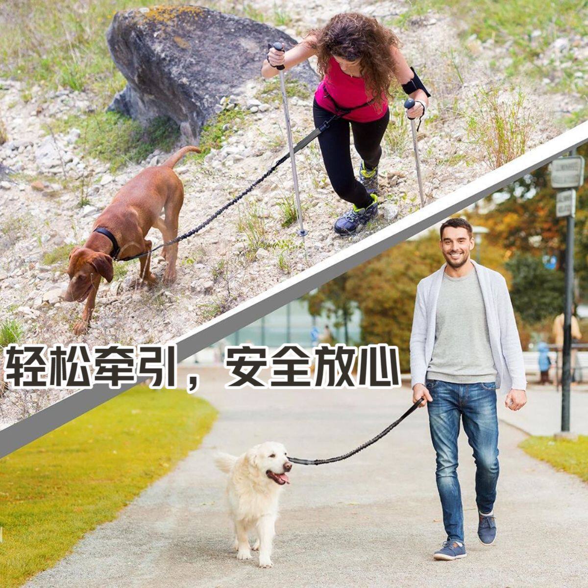 宠物牵引绳大型犬狗绳跑
