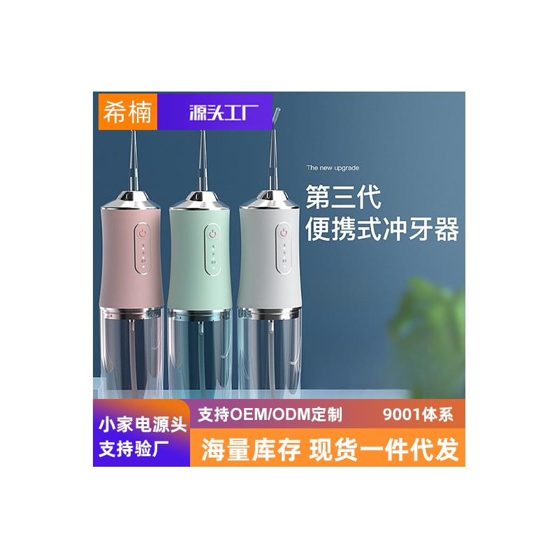口腔清洁充电冲牙器成人