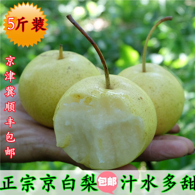 北京农家京白梨5斤顺丰包邮