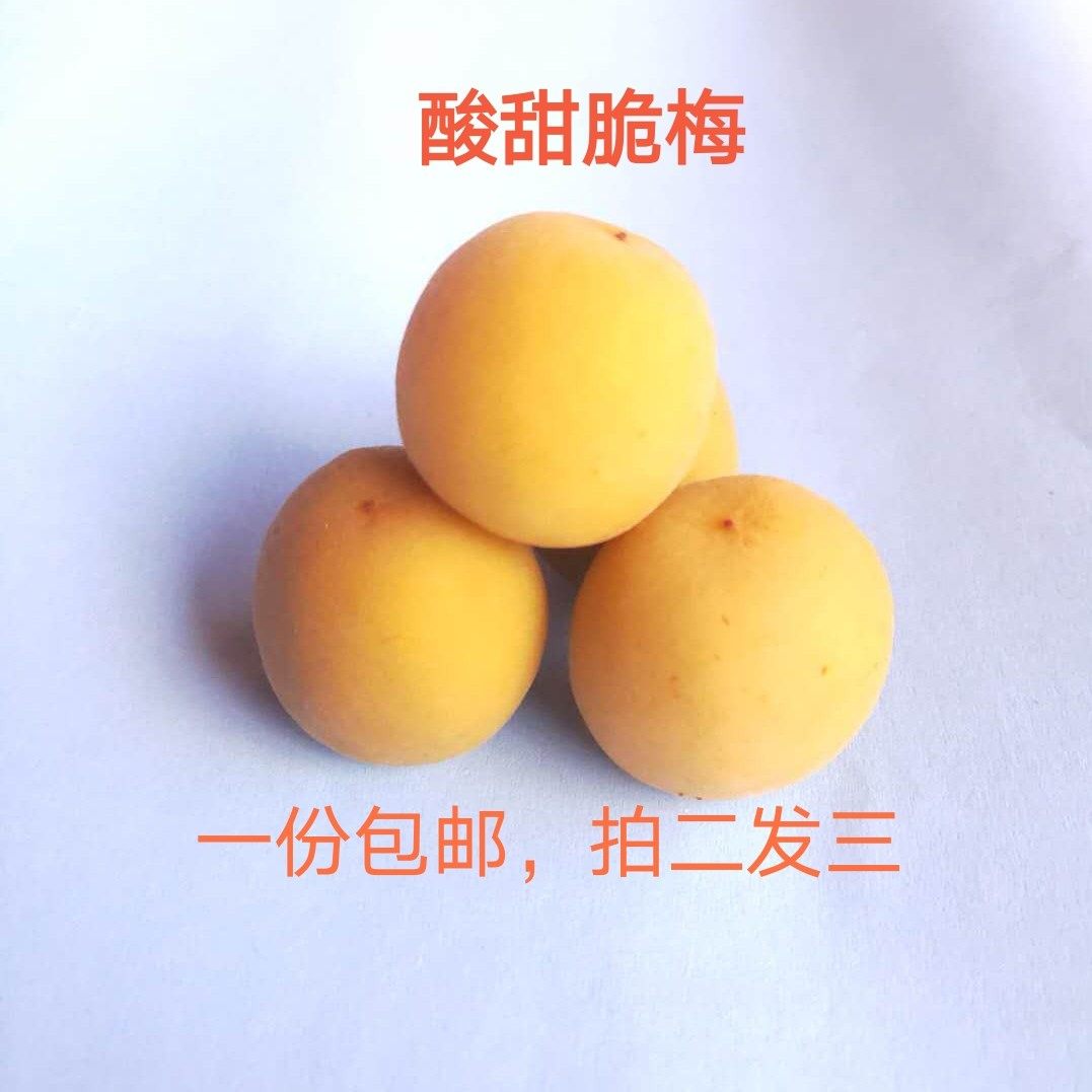 云南酸水果青口梅脆梅酸梅子无添加办公室孕妇休闲零食果脯酸爽