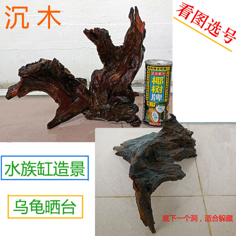 乌龟蜥蜴爬虫树杈大中沉木