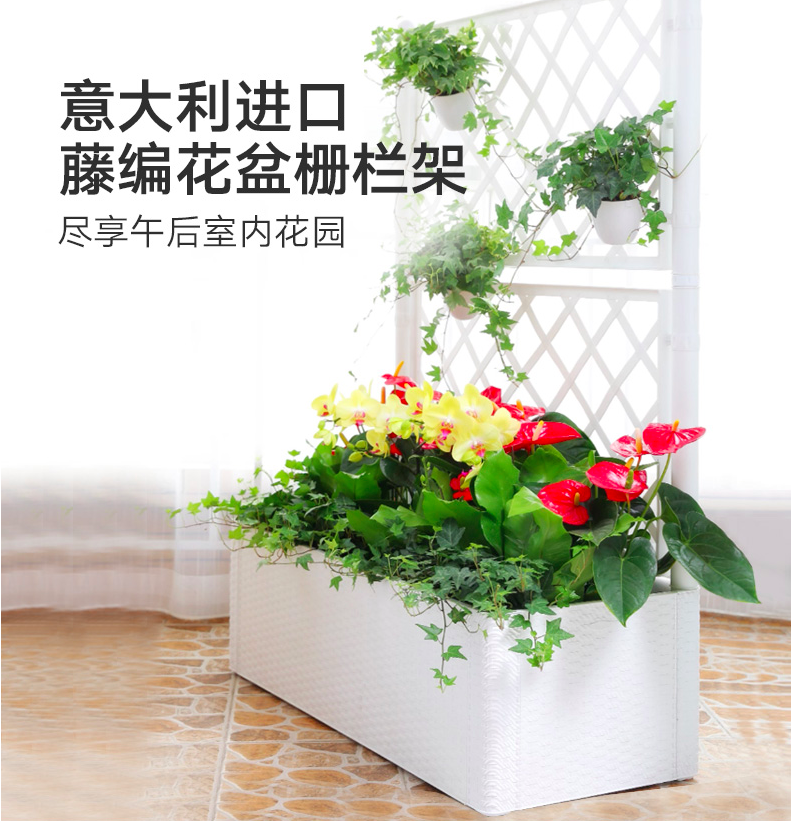 利快StefanPlast意大利进口仿藤编带背架花盆室内外爬藤花架 花槽