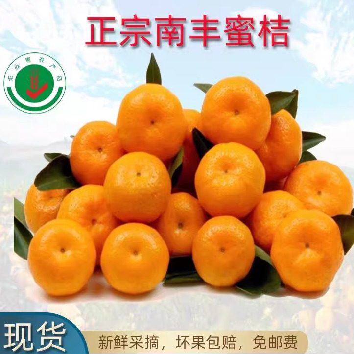正宗江西南丰蜜桔当季新鲜孕妇水果柑橘小贡桔整箱5斤包邮,水产肉类/新鲜蔬果/熟食,桔子,淘宝优惠券,粉丝福利购,淘宝优惠卷