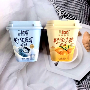 兰格格内蒙古草原酸奶0蔗糖无添加野生蓝莓野生沙棘低温300g杯装