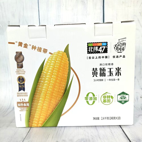 北纬47°黄糯玉米软糯香甜玉米早餐粗粮代餐玉米240g/根整箱10支
