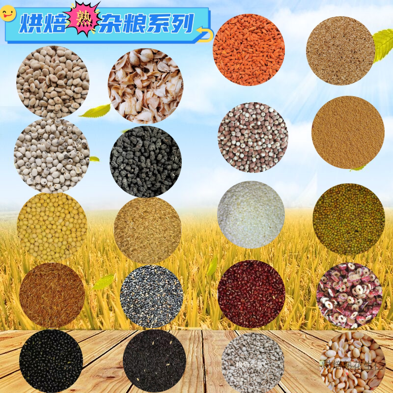低温烘焙熟五谷杂粮豆子米