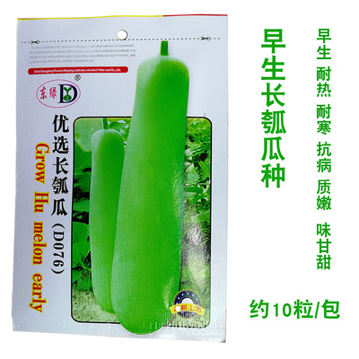 优选长瓠瓜种子品质优易种好吃