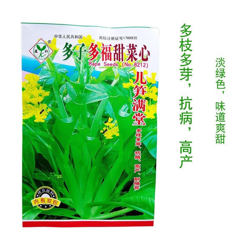 多子多福甜菜心种子百子千笋青菜籽春秋冬季阳台盆栽菜园蔬菜种孑
