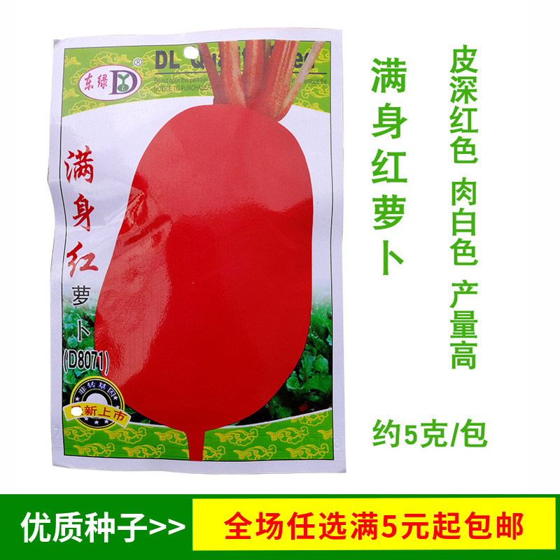满身红萝卜种子四季种萝卜种孑 蔬菜种子秋播 高产萝卜种子秋季种