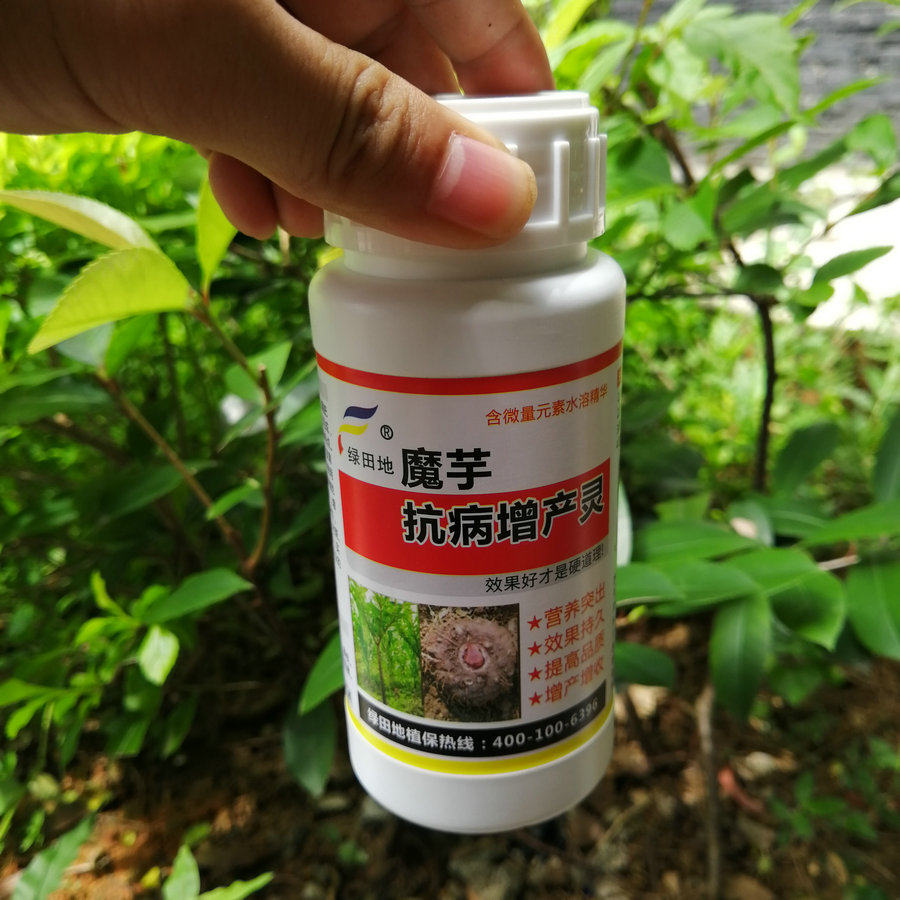根茎膨大剂 魔芋专用 抗病增产灵 促根壮苗球茎膨大 叶面肥喷施肥