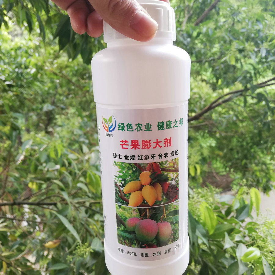 芒果丰满拉长素靓果素