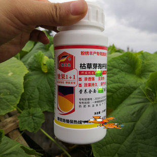 绿田地漯康壮粉锈专用杀菌剂 枯草芽孢杆菌 马蹄芋头茭葱白粉锈病