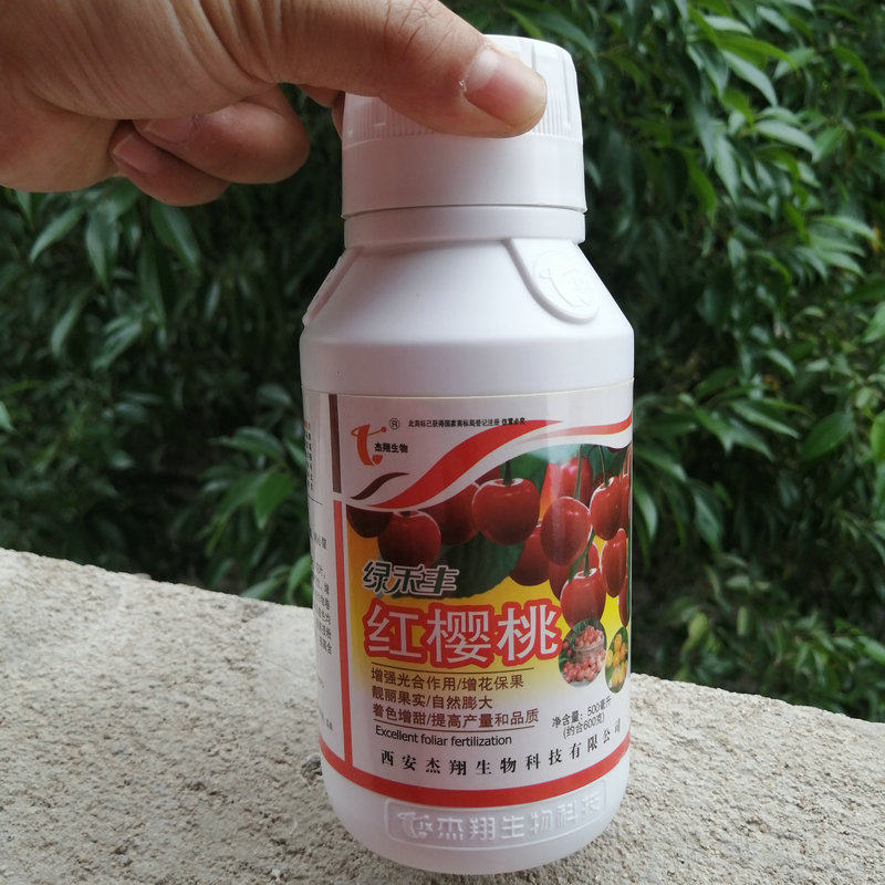 绿禾丰樱桃丰产素个大色靓肉多