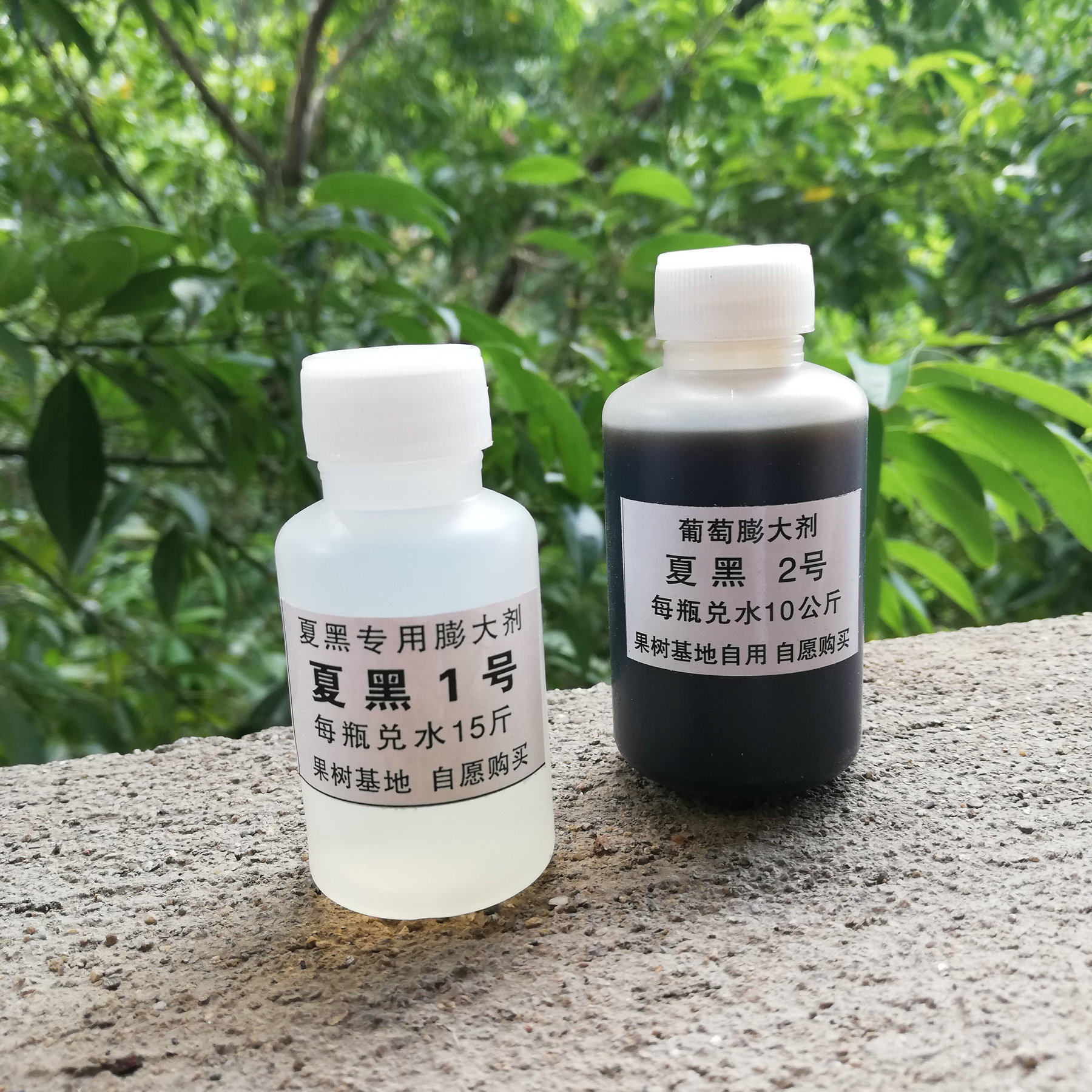 夏黑专用葡萄膨大剂膨大素叶面肥1 2号 去核保果膨大软梗果树肥料