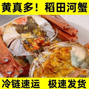 稻田蟹大闸蟹鲜活六月黄特大盘锦河蟹全母蟹2.5两母5斤装