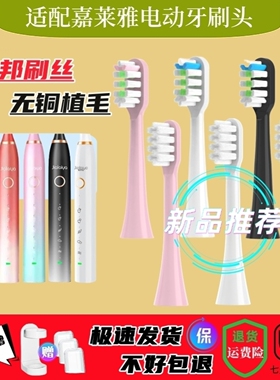 适配嘉莱雅jialaiya电动牙刷头FUPAI/福派A6S+Plus通用替换头