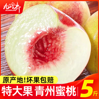 正宗山东青州蜜桃新鲜水果桃子脆桃当季整箱冬桃鲜果金秋脆甜现摘