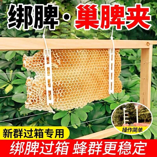 巢脾夹诱蜂过箱绑脾夹固定巢脾夹土养巢脾固定器夹蜂脾夹子防坠脾