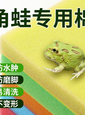 角蛙专用生化棉蝾螈海绵树蛙钟角水龟过滤棉角蛙垫材细孔海绵