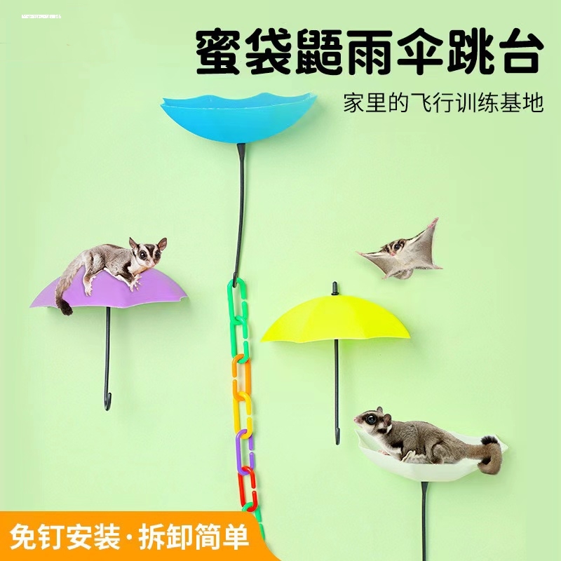 蜜袋鼯爬绳玩具飞行滑翔起飞训练平台跳台笼子玩具蜜袋鼬小蜜站台