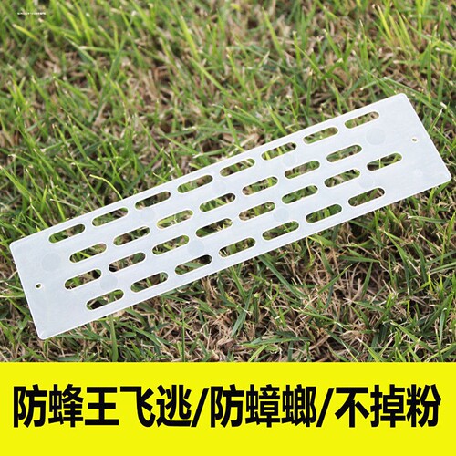 新款蜂王防逃框多功能蜜蜂箱巢门片分蜂器中蜂专用防盗蜂养蜂工具