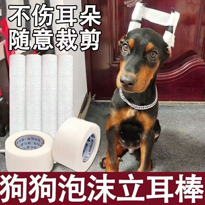 德牧杜宾犬立耳棒绑耳大小狗泡沫棒胶布胶带宠物雪纳瑞柯基立耳器 - 实物图