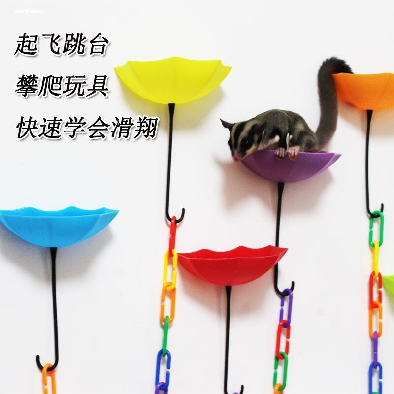 蜜袋鼯起飞跳台蜜袋鼬鼠用品攀爬玩具雨伞站台小飞鼠滑翔训练用品 - 实物图