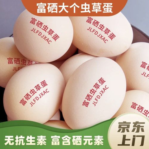 【京东上门】正宗农家散养土鸡蛋柴鸡蛋营养健鸡蛋草鸡蛋50-55克