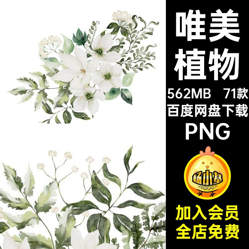 71款水彩植物手绘卉免装饰唯美婚礼素材图案白色唯美婚礼植物水彩