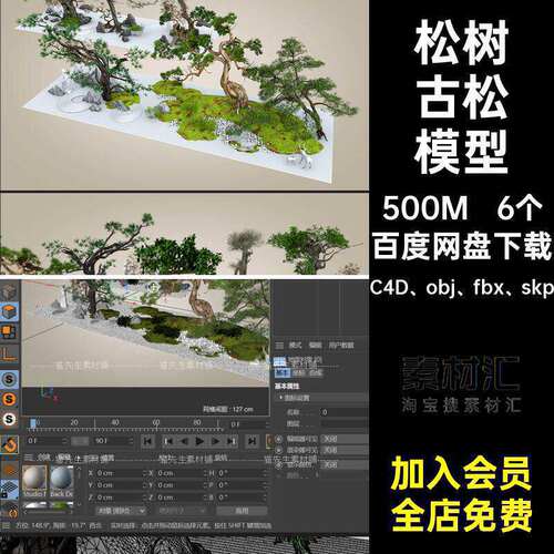 古松模型C4D、obj、fbx、skp6个CFBXOBJ园林