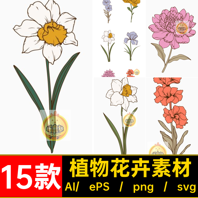15款优雅花卉素材朵精美植物扣AI插画图片素材免手绘插图svgpng