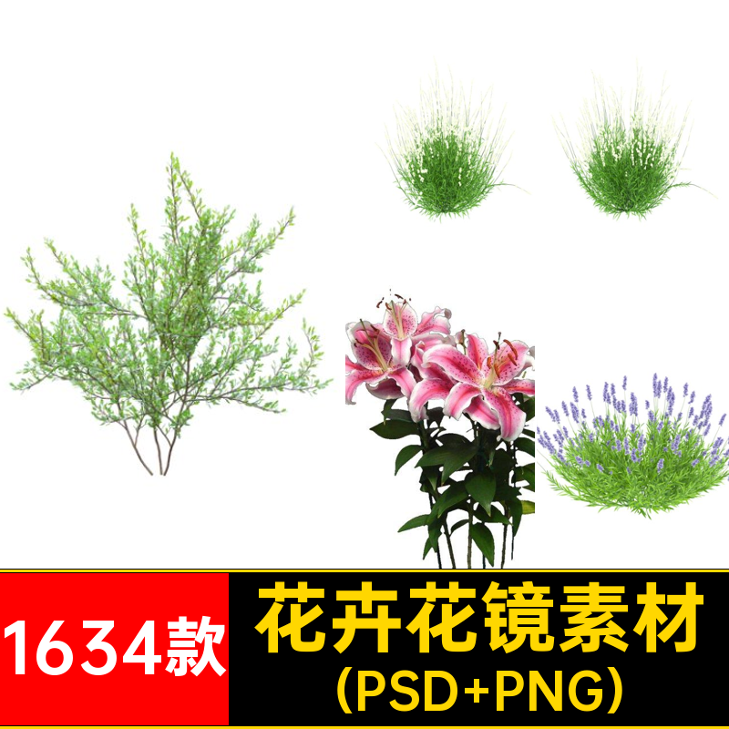 园林景观花卉植物procreate花镜花坛效果图PNG免抠带名称PS素材库