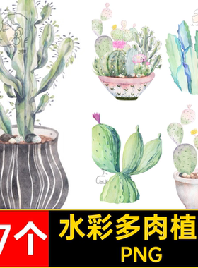 绿植盆栽多免森透明水彩肉系小素材水彩多肉植物PNG手绘花卉抠