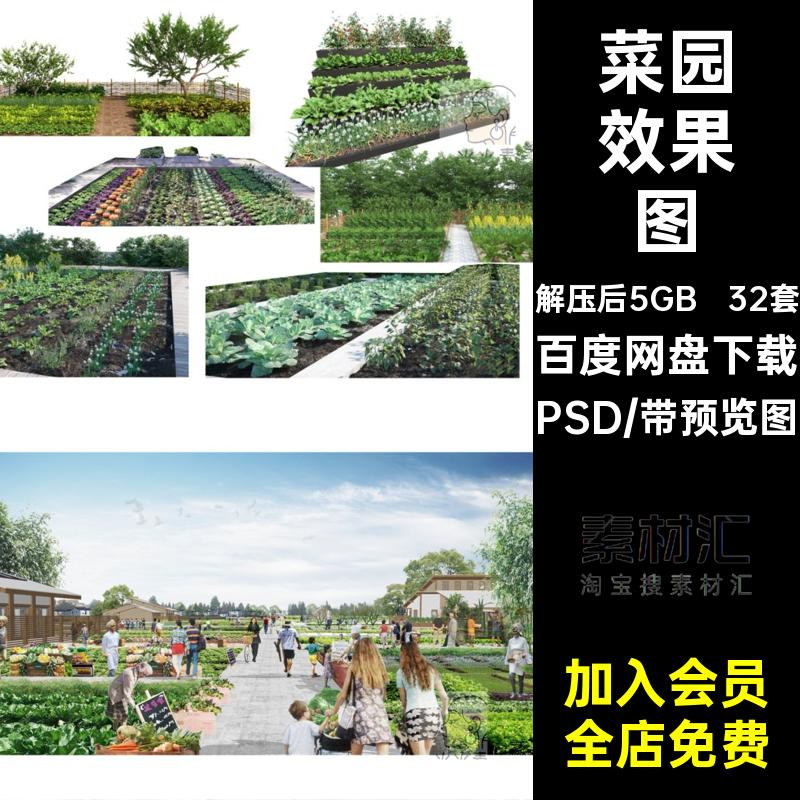蔬菜农作物素材美丽菜园景观农田植物效果图乡村pspsd抠菜地免