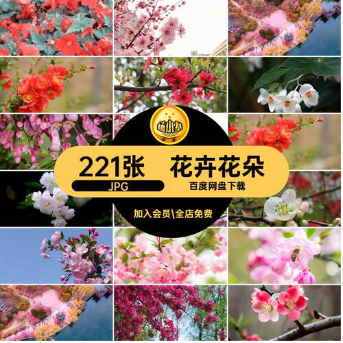 221张高清海棠花合成摄影图片素材花朵喷绘花卉植物花簇设计J